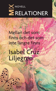 Mellan det som finns och det som inte längre fi