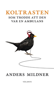 Koltrasten som trodde att den var en ambulans (