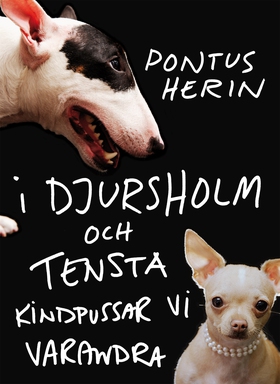 I Djursholm och Tensta kindpussar vi varandra (