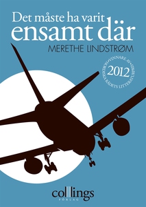 Det måste ha varit ensamt där (e-bok) av Mereth