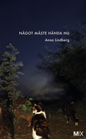 Något måste hända nu (e-bok) av Anna Lindberg