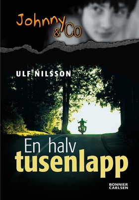 En halv tusenlapp (e-bok) av Ulf Nilsson
