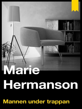 Mannen under trappan (e-bok) av Marie Hermanson