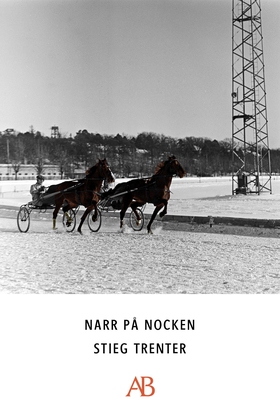 Narr på nocken (e-bok) av Stieg Trenter