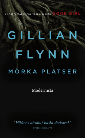 Mörka platser (e-bok) av Gillian Flynn