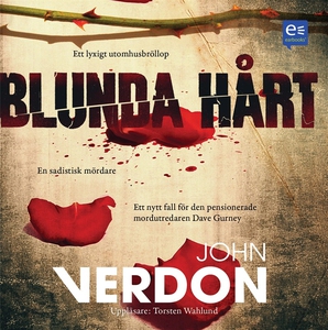 Blunda hårt (ljudbok) av John Verdon