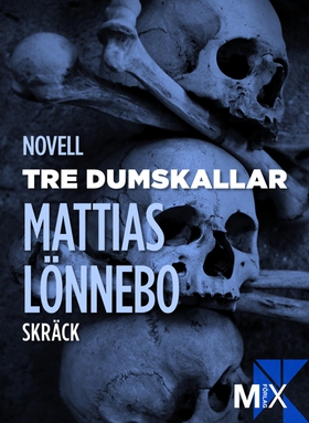 Tre dumskallar (e-bok) av Mattias Lönnebo
