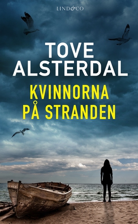 Kvinnorna på stranden (e-bok) av Tove Alsterdal