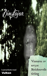 Dimslöjor (e-bok) av Jennie Johansson