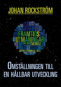 Omställningen till en hållbar utveckling (e-bok