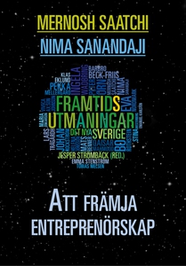 Att främja entreprenörskap (e-bok) av Mernosh S