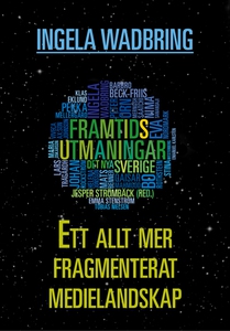 Ett allt mer fragmenterat medielandskap (e-bok)