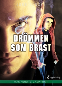 Drömmen som brast (e-bok) av Jörn Jensen