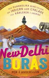 New Delhi - Borås : Den osannolika berättelsen