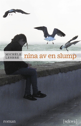 Nina av en slump (e-bok) av Michèle Lesbre