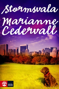 Stormsvala (e-bok) av Marianne Cedervall