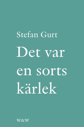 Det var en sorts kärlek : roman (e-bok) av Stef