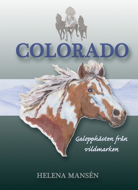 COLORADO, Galopphästen från vildmarken (e-bok) 