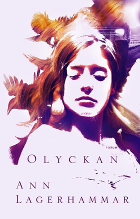 Olyckan (e-bok) av Ann Lagerhammar