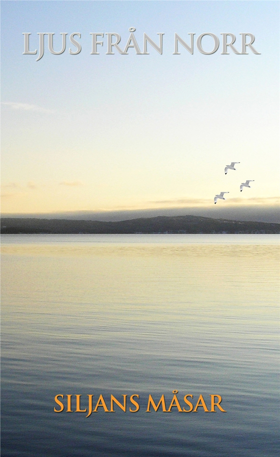 Ljus från Norr