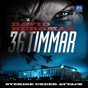 36 timmar (ljudbok) av David Bergman