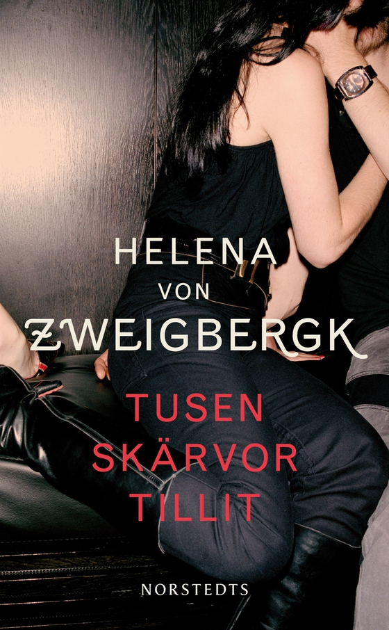 Tusen skärvor tillit (e-bok) av Helena von Zweigbergk
