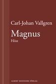 Magnus : Höst : En novell ur Längta bort