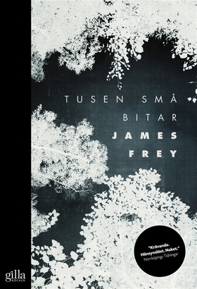 Tusen små bitar (e-bok) av James Frey