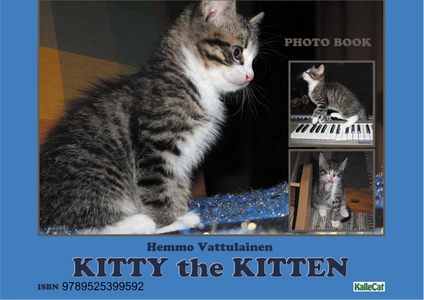 Kitty the Kitten / e photo book (e-bok) av Hem