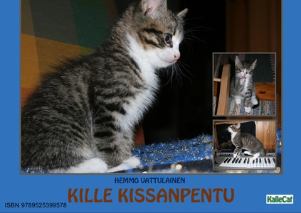 Kille Kissanpentu / e-valokuvakirja (e-bok) av