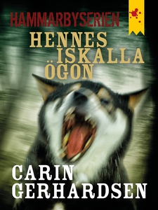 Hennes iskalla ögon (e-bok) av Carin Gerhardsen