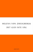 Det Gud inte såg
