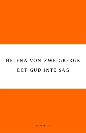 Det Gud inte såg (e-bok) av Helena von Zweigber
