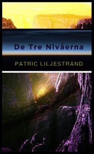 De tre nivåerna (ljudbok) av Patric Liljestrand