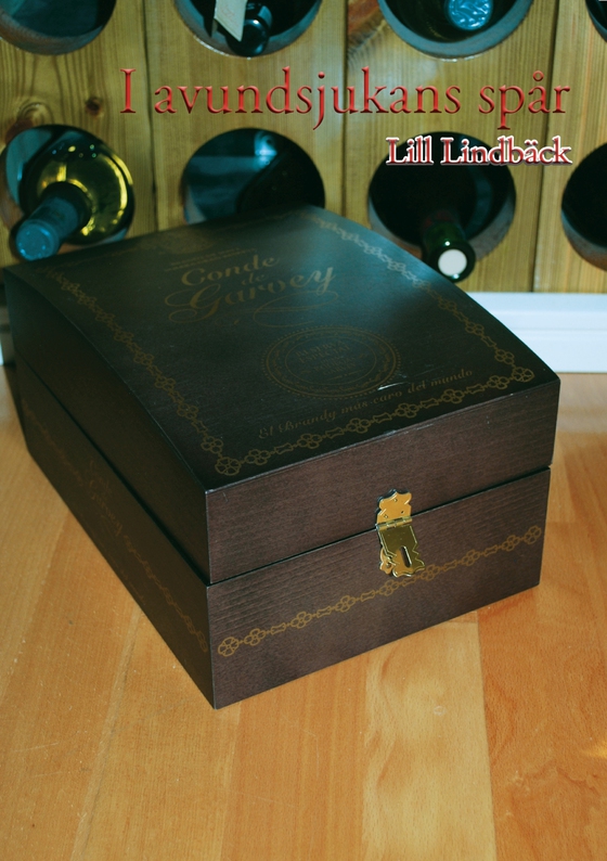 I avundsjukans spår