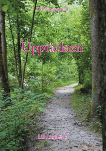 Upptäckten (e-bok) av Lill Lindbäck