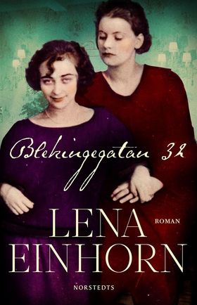 Blekingegatan 32 (e-bok) av Lena Einhorn