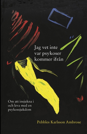 Jag vet inte var psykoser kommer ifrån (e-bok) 