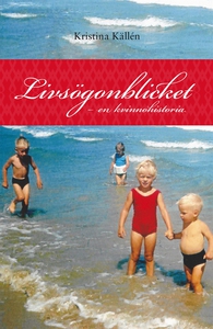 Livsögonblicket - en kvinnohistoria (e-bok) av