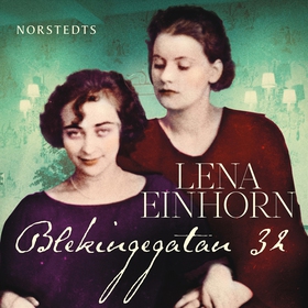 Blekingegatan 32 (ljudbok) av Lena Einhorn