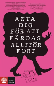 Akta dig för att färdas alltför fort (e-bok) av