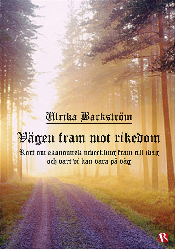 Vägen fram mot rikedom (e-bok) av Ulrika Barkström