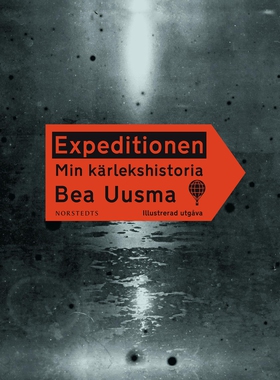 Expeditionen : min kärlekshistoria (e-bok) av B