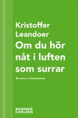 Om du hör nåt i luften som surrar : en skräcknovell ur Strandridare