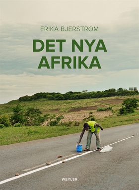 Det nya Afrika (e-bok) av Erika Bjerström