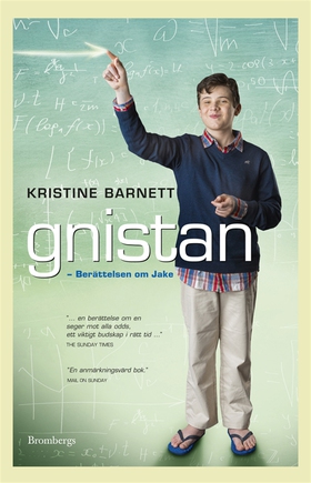 Gnistan  Berättelsen om Jake (e-bok) av Kristin