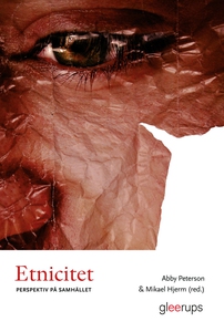 Etnicitet : Perspektiv på samhället (e-bok) av