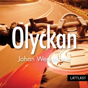 Olyckan / Lättläst (ljudbok) av Johan Werkmäste