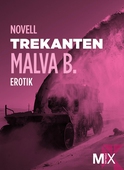 Trekanten : en novell ur Begär