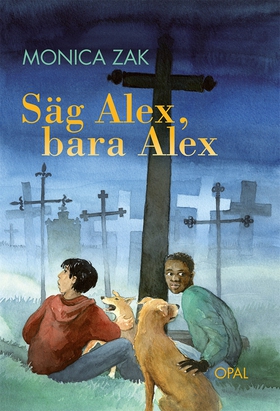 Säg Alex, bara Alex (e-bok) av Monica Zak